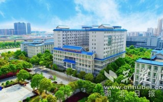 成都长江技术学院，成都长江职业技术学院地址