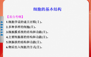 通用技术解题报告，通用技术作品设计报告