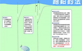 黑户漂白技术，黑户漂白技术原理